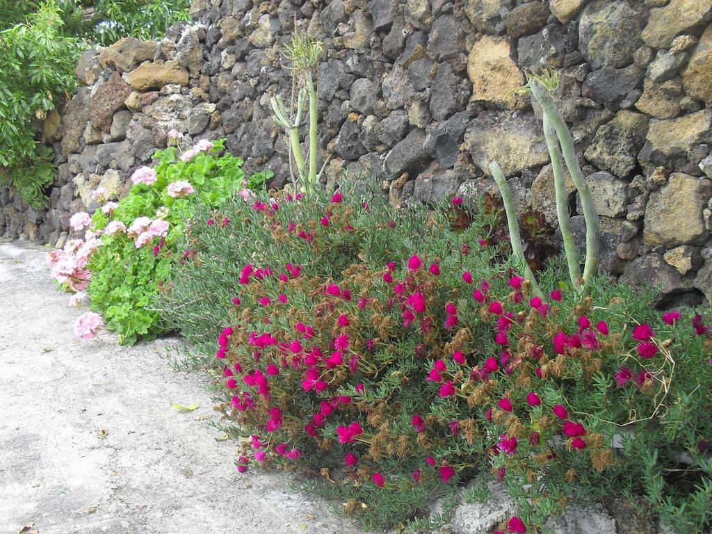 Casa Rural Abuelo Pancho Las Casas  Kültér fotó